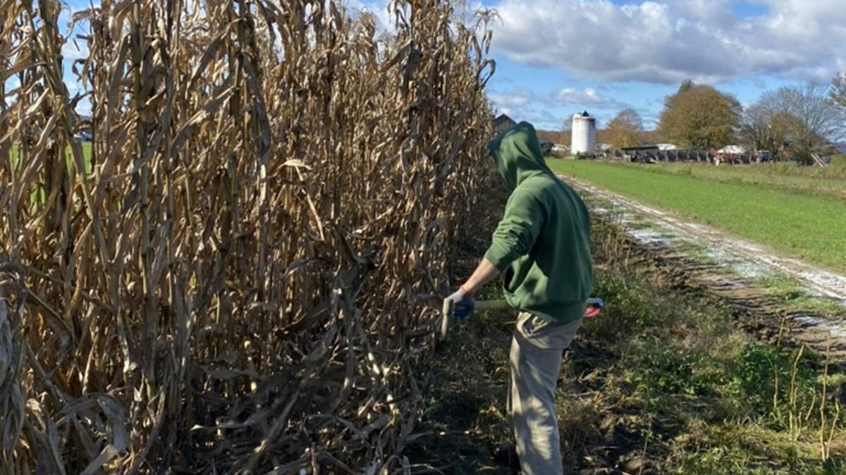 What Makes Japanese Pottery Unique? A Look at Tradition, Philosophy, and Influence