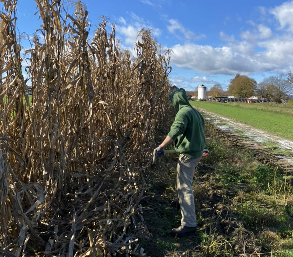 What Makes Japanese Pottery Unique? A Look at Tradition, Philosophy, and Influence